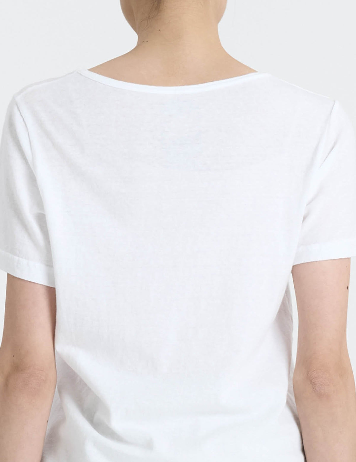 ラフィ&MVS天竺 Tシャツ