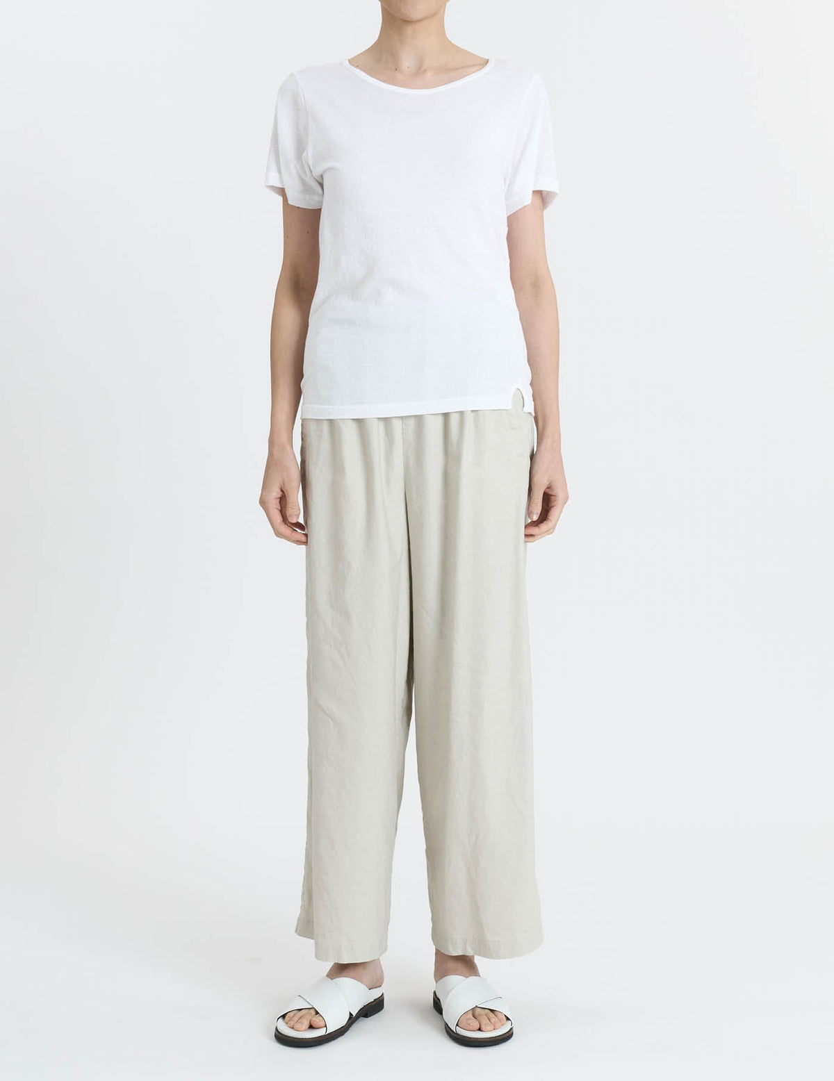 ラフィ＆MVS天竺 Tシャツ