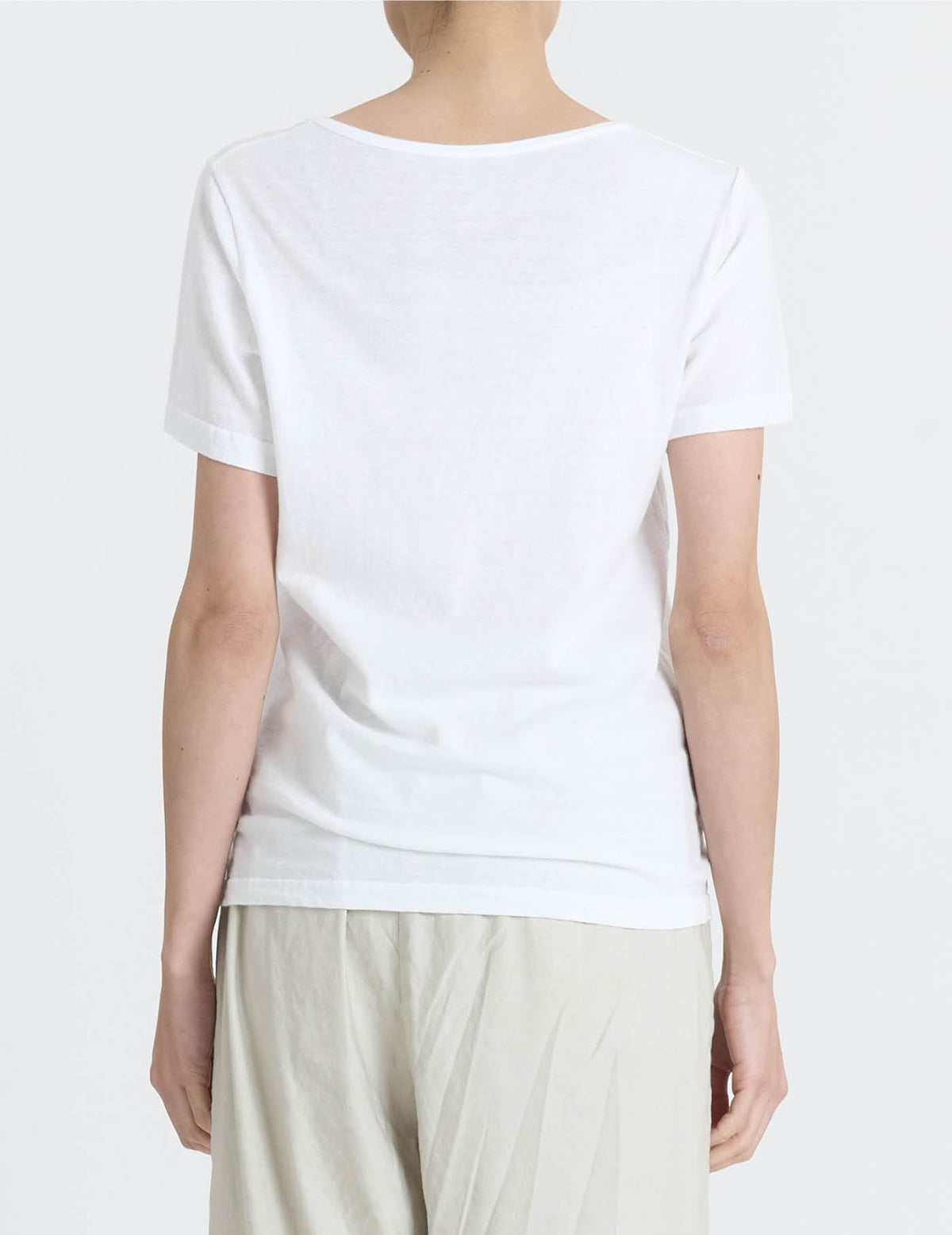 ラフィ＆MVS天竺 Tシャツ