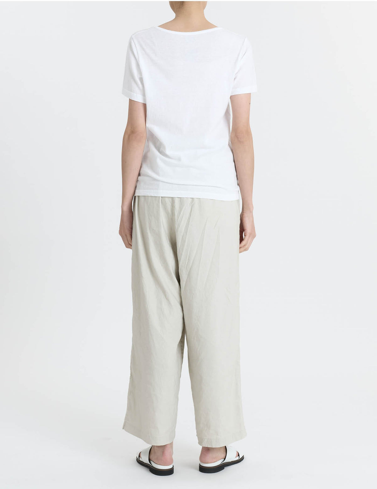 ラフィ＆MVS天竺 Tシャツ