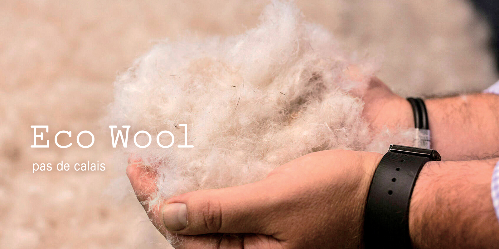 pas de calais公式通販[パドカレ] | ギャラリードポップ